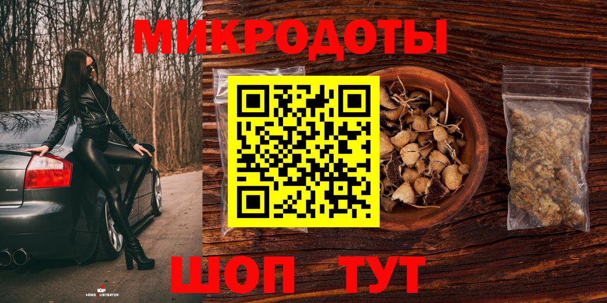 Псилоцибиновые грибы Psilocybe Оренбург