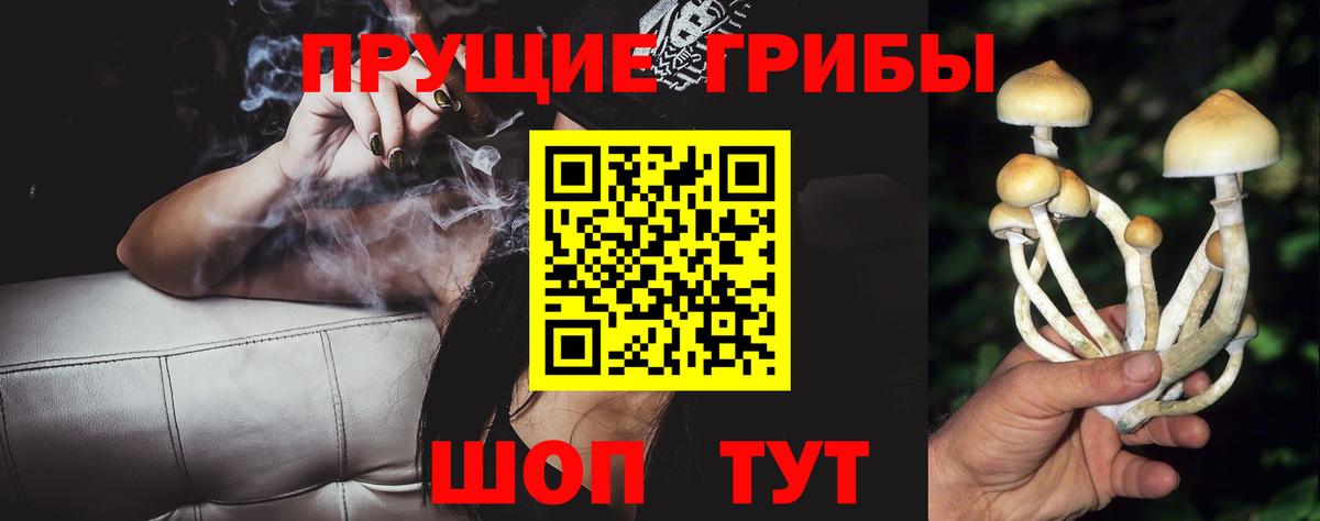 Оренбург  Псилоцибиновые грибы Psilocybine cubensis  Вход с VPN 